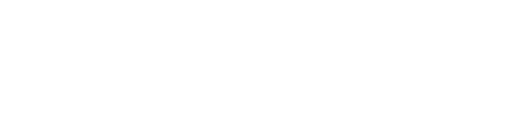 cougar digital logo horizontal white web